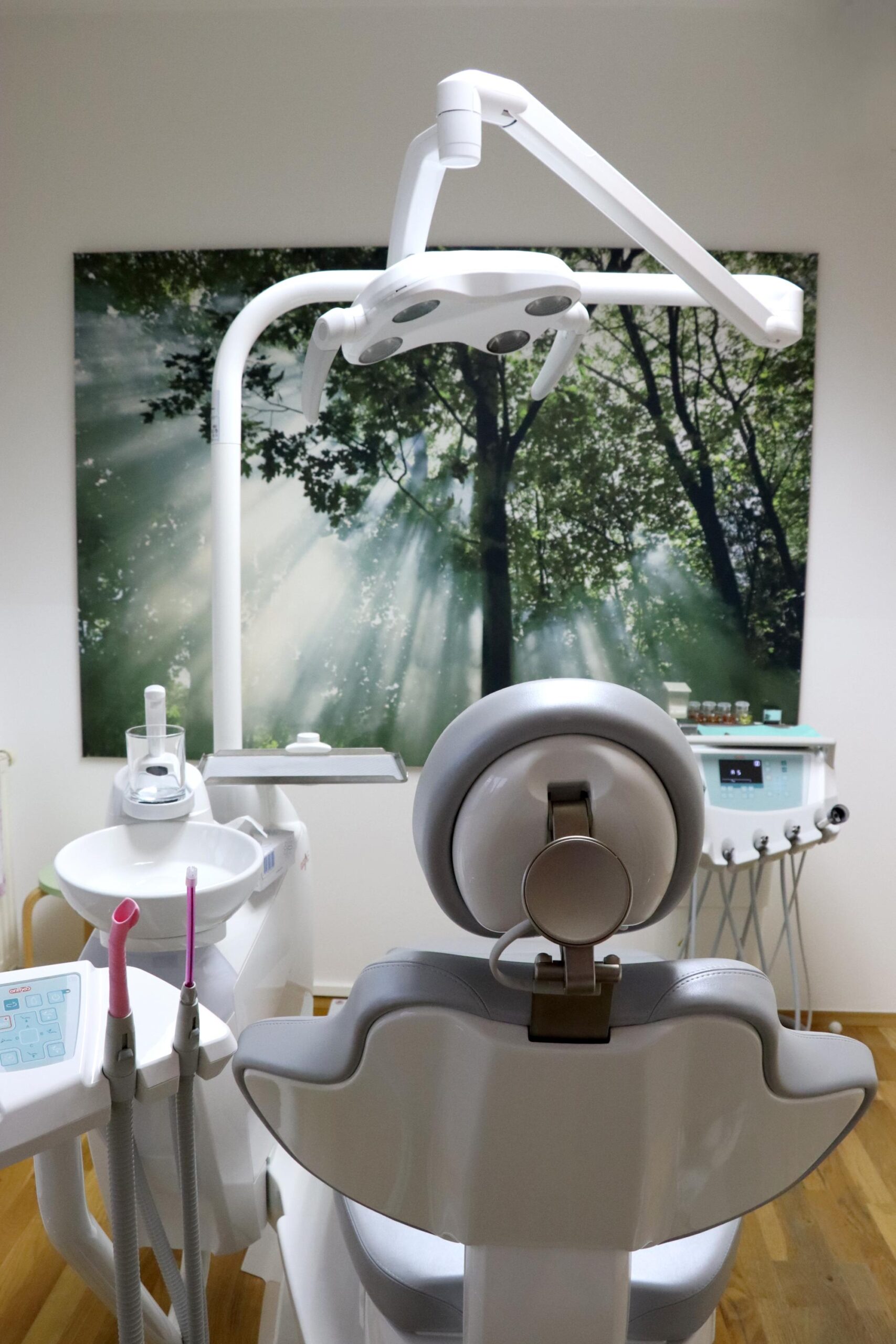 Zahnarzt Bad Gams Dr Afsharipour (5)